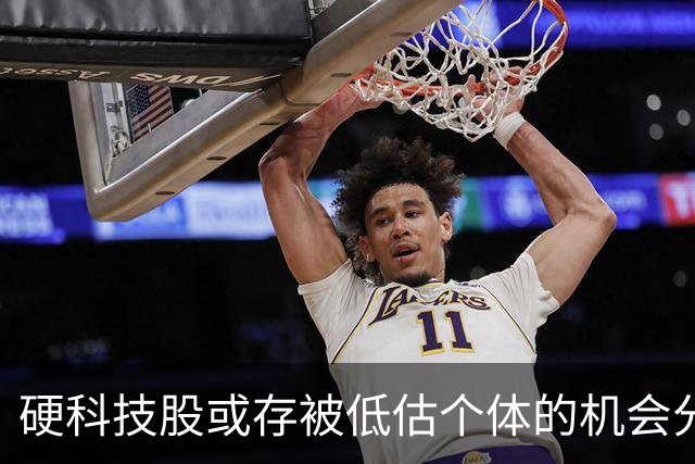 硬科技股或存被低估个体的机会分析